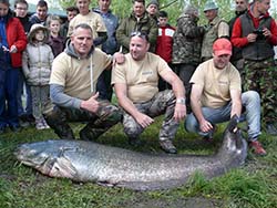 A verseny idején kifogott legnagyobb hal 69,6 kg tömegű volt
