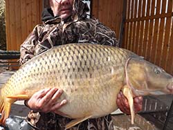 Mészáros Tibor, 23,34 kg