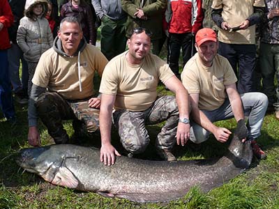 Sárvári Team, a versenyen kifogott legnagyobb, 69,6 kg-os harcsával