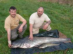 A Harcs Ászok Team csapatának első estén sikerült egy 51 kg és egy 10,5 kg tömegű példányt kifogniuk