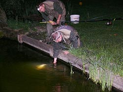 Első különdíj - Fakukac Team csapata megfogta a verseny első harcsáját, 2,44 kg