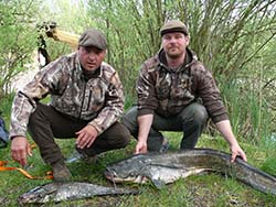 A negyedik helyezett - Pölöskei Ördögök, 20 kg