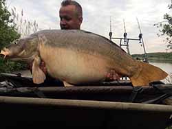 Pontyfogás - 24 kg