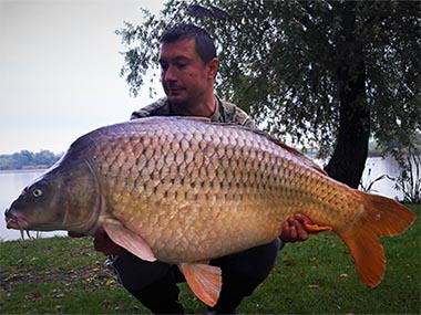 Zsédely Attila, 24,5 kg