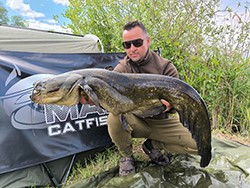 Harcsafogás - 37 kg