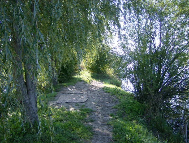 24. Faházas sziget horgászhely