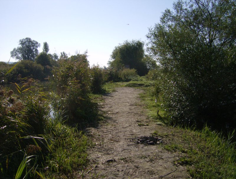 24. Faházas sziget horgászhely