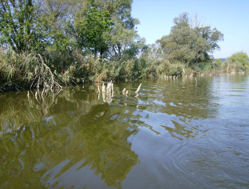 24. Faházas sziget horgászhely