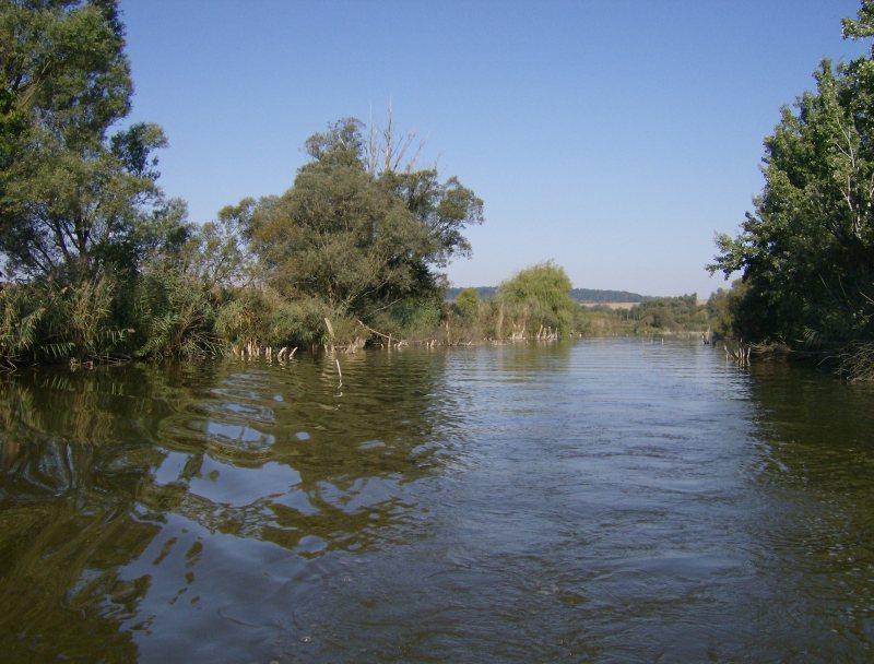 24. Faházas sziget horgászhely