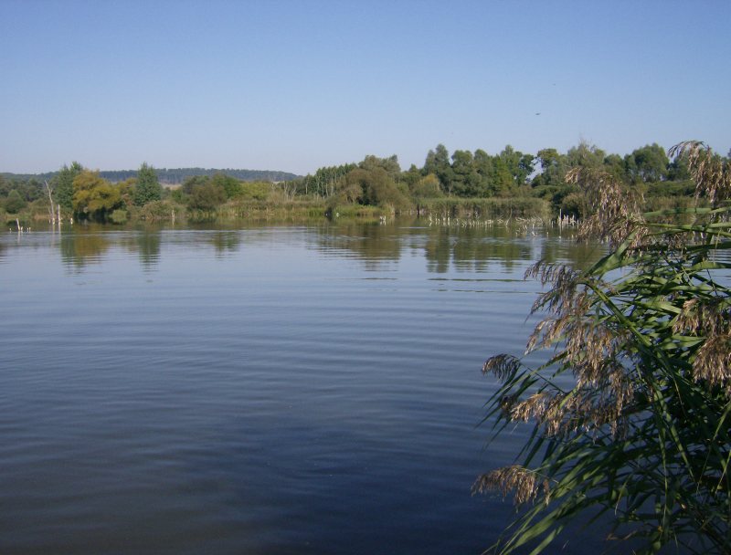 24. Faházas sziget horgászhely