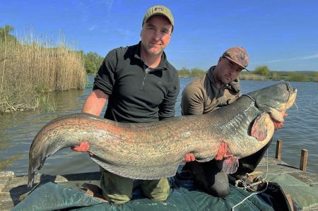 Ragadozó horgászat